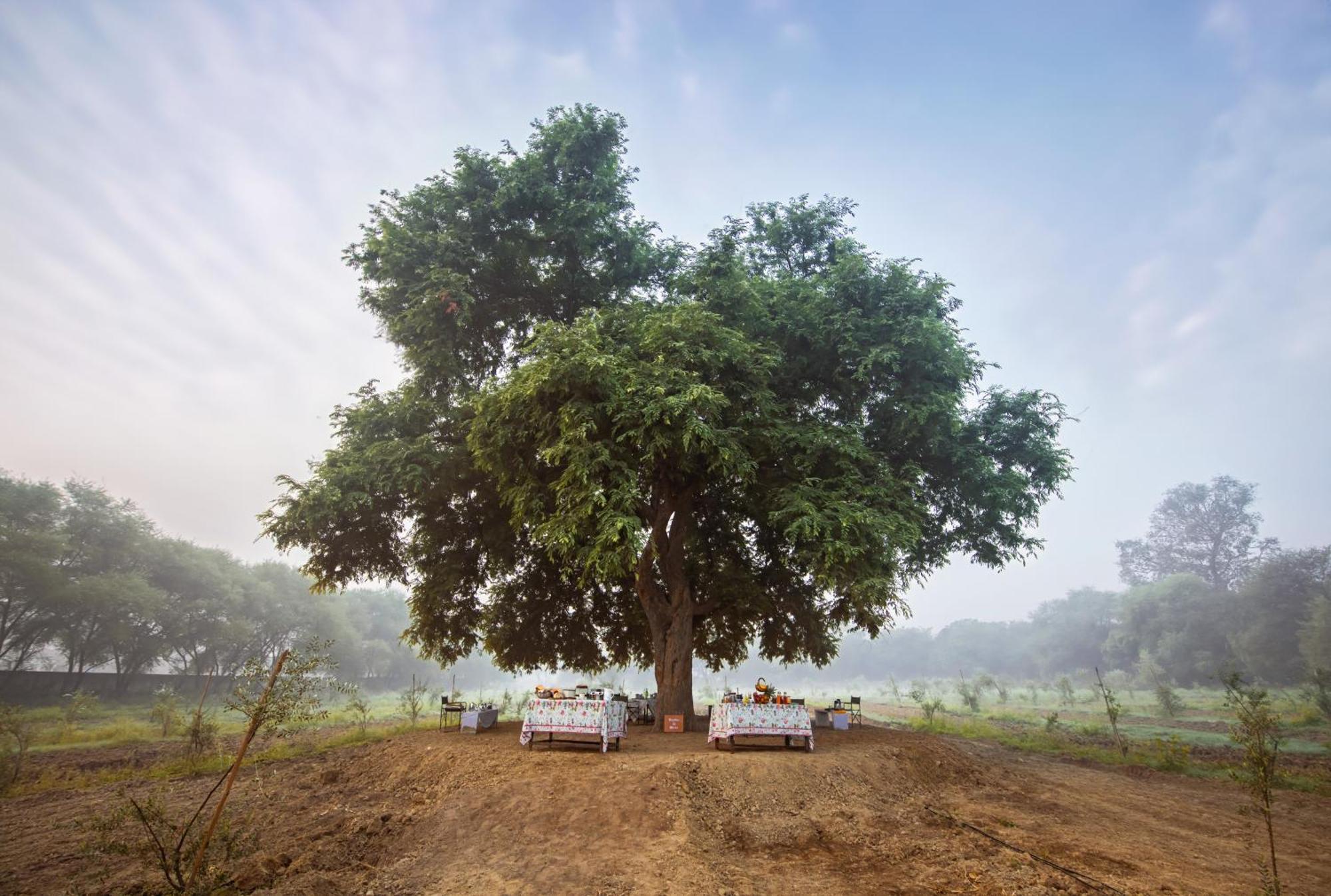 Mela Kothi - The Chambal Safari Lodge Bah Bagian luar foto