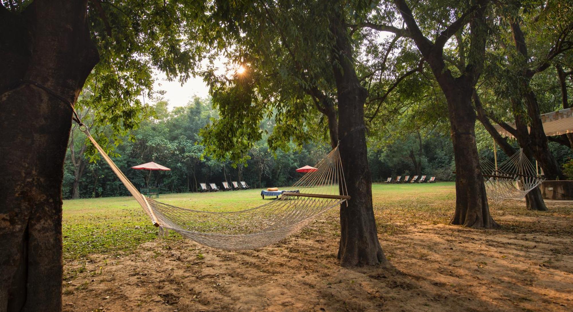 Mela Kothi - The Chambal Safari Lodge Bah Bagian luar foto